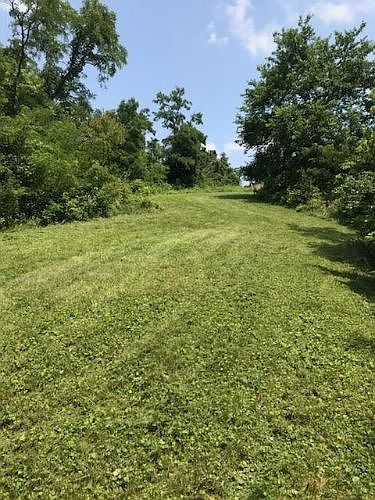 2nd image of 3170 Kleeman Rd