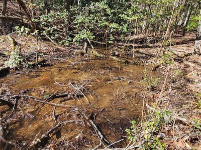 6878 Upper Burningtown Rd, Franklin, NC, 28734