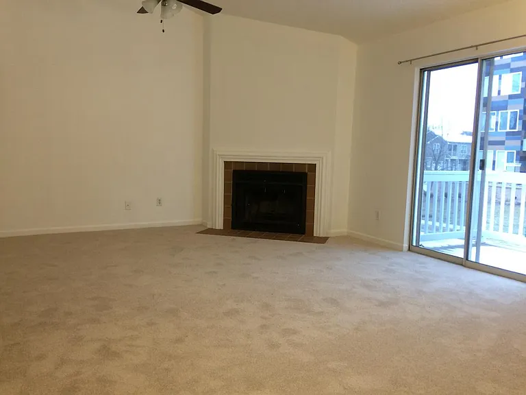 The living area with carpet
