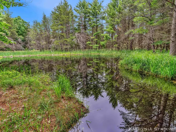V L E Kinney Rd, Branch, MI 49402