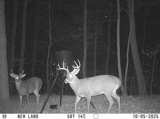 4 Five #6-7, Newfoundland, PA 18445