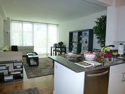 Rented by Carnegie Hill Place | media 5