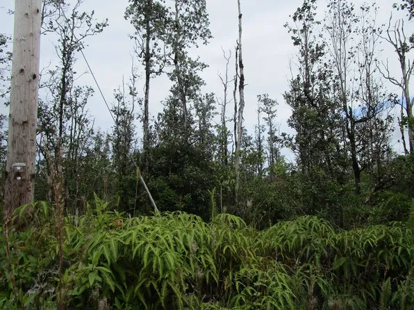 Road 6 Ooaa Lot 4460, Kurtistown, HI 96760