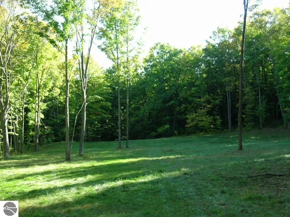 1780 Primrose Trl SE, Fife Lake, MI 49633