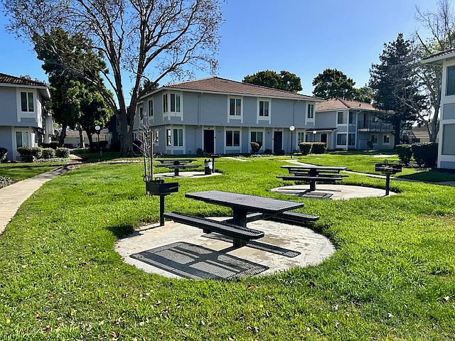 Play and bbq areas