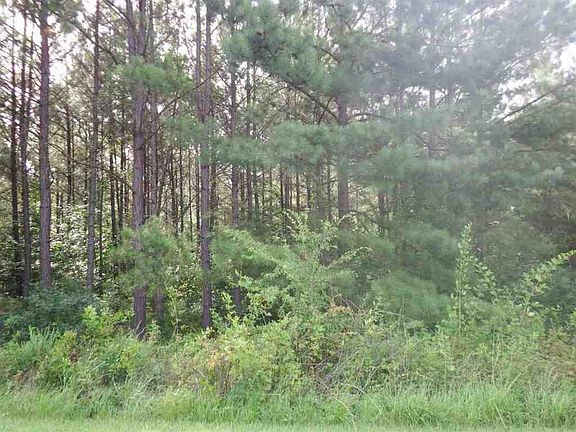 4th image of 976 Eagles Harbor Dr Lot 157