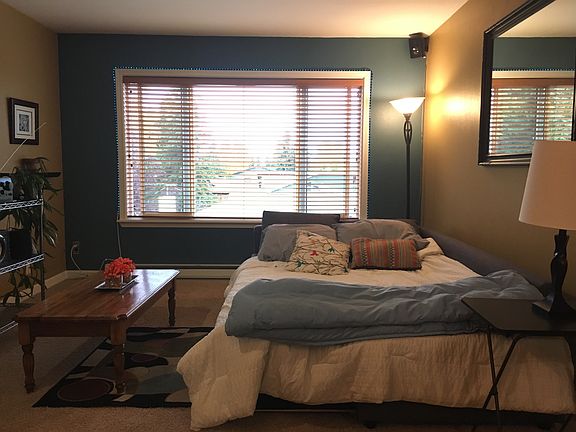 sleeper sofa