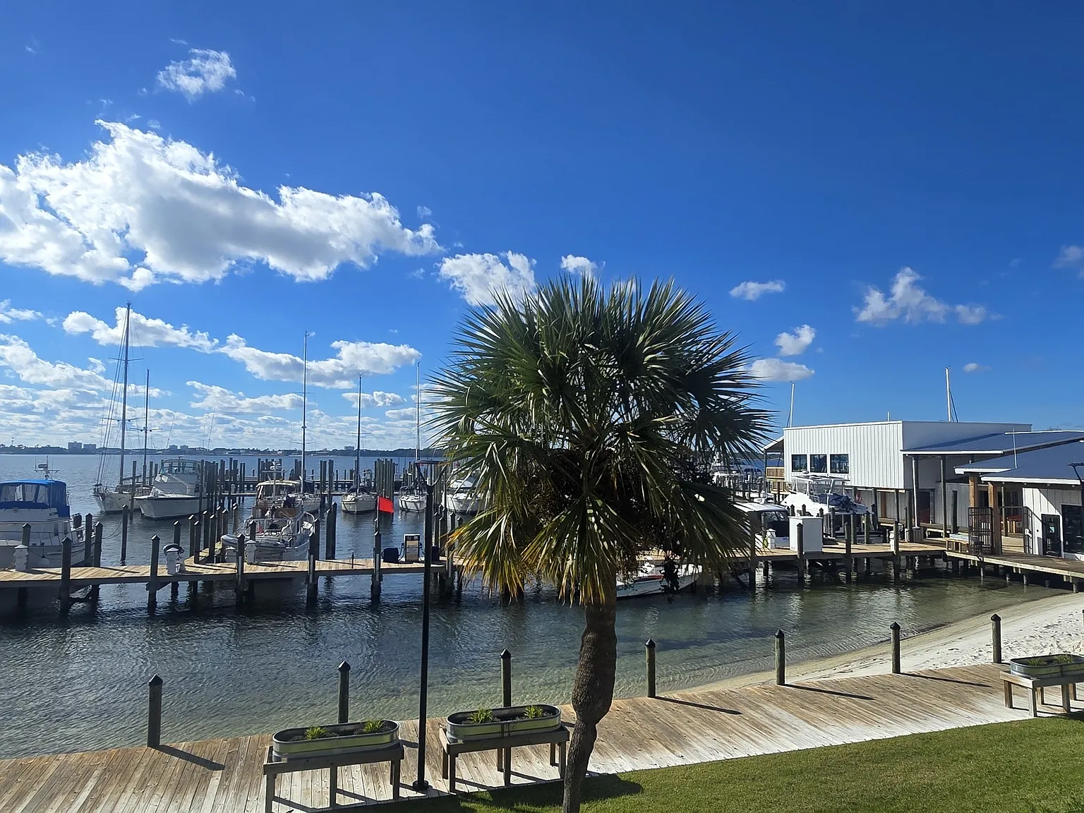 5505 Sun Harbor Road #233 - 1 — Photo 4