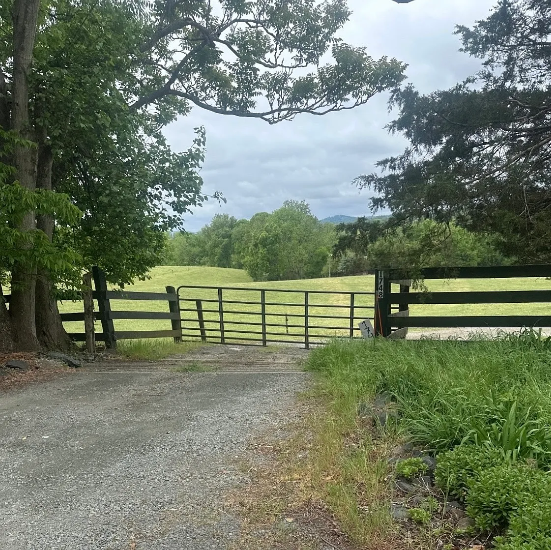 2 bed, $1,600 — Photo 3