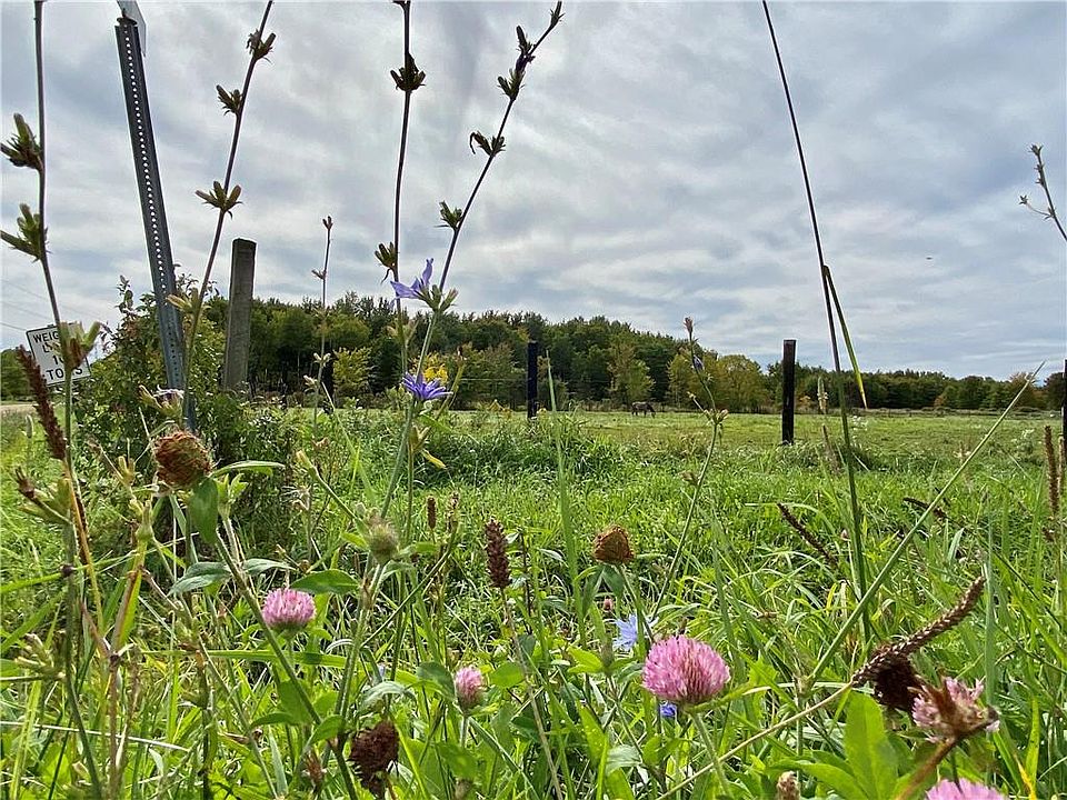 9449 Babbitt Rd, Cranesville, PA 16410 MLS 165854 Zillow