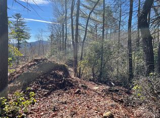 0 Willow Run Ln LOT 17, Zirconia, NC 28790