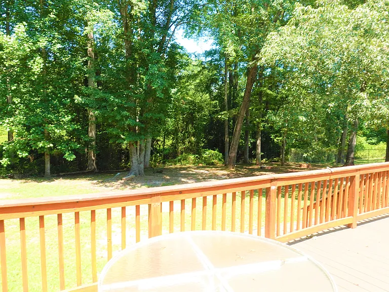 115 Konnarock Cir — Photo 48