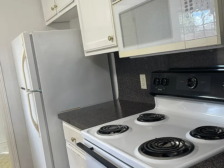 1008 Sun Meadow Ct — Photo 6