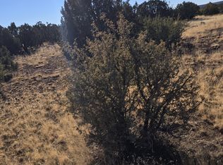 8751 Supancheck Rd, Show Low, AZ 85901