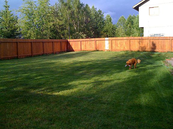 Large Fenced Backyard