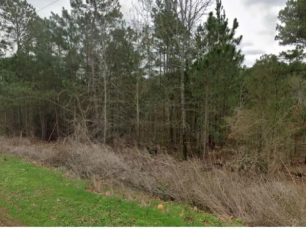 White Fir Rd, Gladewater, TX 75647