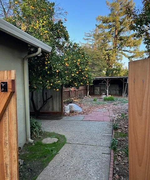 Back yard walkway
