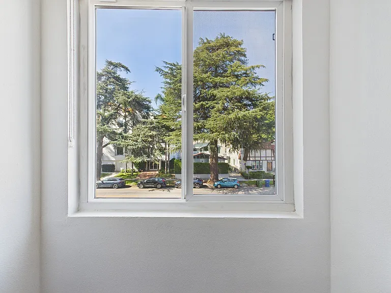 Juniper — Photo 41