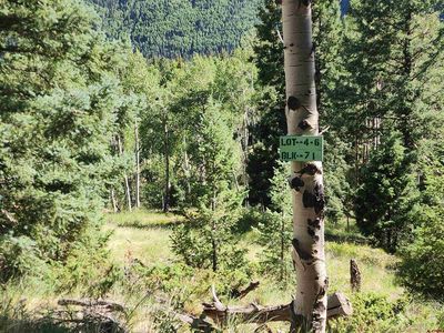 BLk 71 Lots 4-6, Monte Vista, CO, 81144