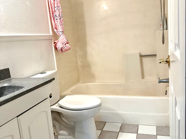 Hallway Bathroom