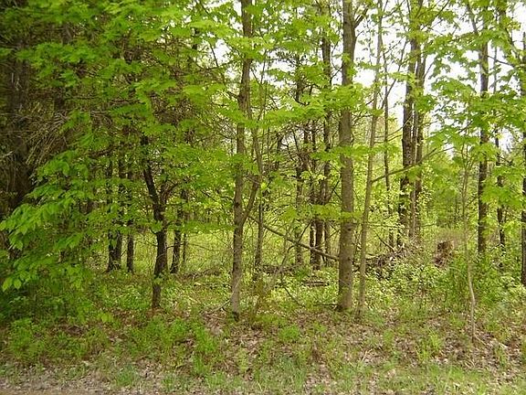 2nd image of Lot 4 Cathedral Pines Road