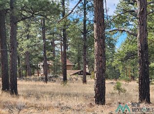 88 Fumarole Rd, Grants, NM 87020