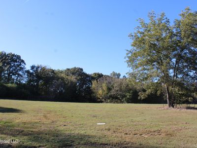 120 Bull Horn Dr, Como, MS, 38619