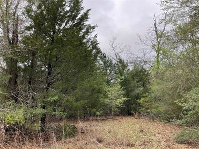 1228AC County Road 3241, Jewett, TX, 75846
