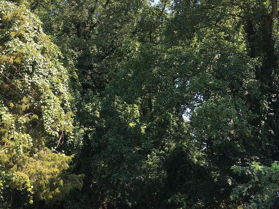 2nd image of Sherman Ave