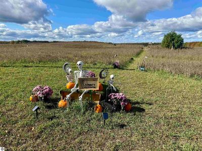 8320 Ole White Dr, Lake Ann, MI, 49650