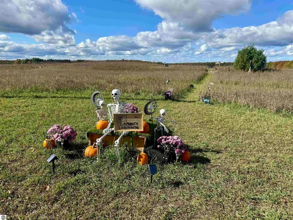 8320 Ole White Dr, Lake Ann, MI 49650