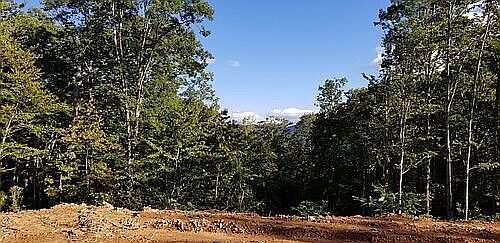 2nd image of LOT 9 Cardinal Bluff Dr
