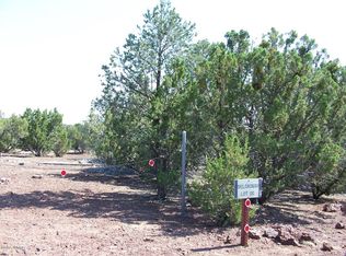 LOT 3132 McPherson Rd, Vernon, AZ 85940