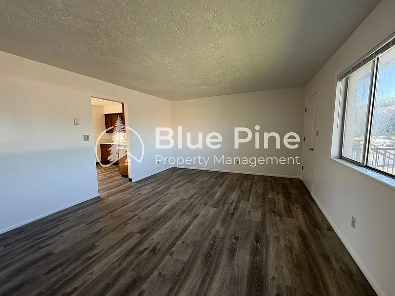 2 bed, 1.0 bath, 800 sqft, $950 — Photo 2