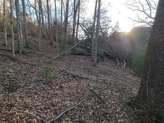 4th image of 110 Whispering Pines Way