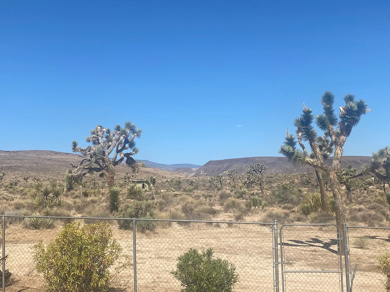 3 bed, 1414 sqft, $2,800 — Photo 3
