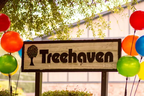 Treehaven Photo 1