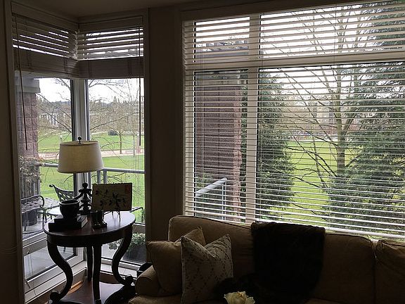 Park from living room