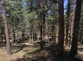 401 Falcons Rest Pl, Woodland Park, CO 80863