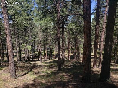 401 Falcons Rest Pl, Woodland Park, CO, 80863