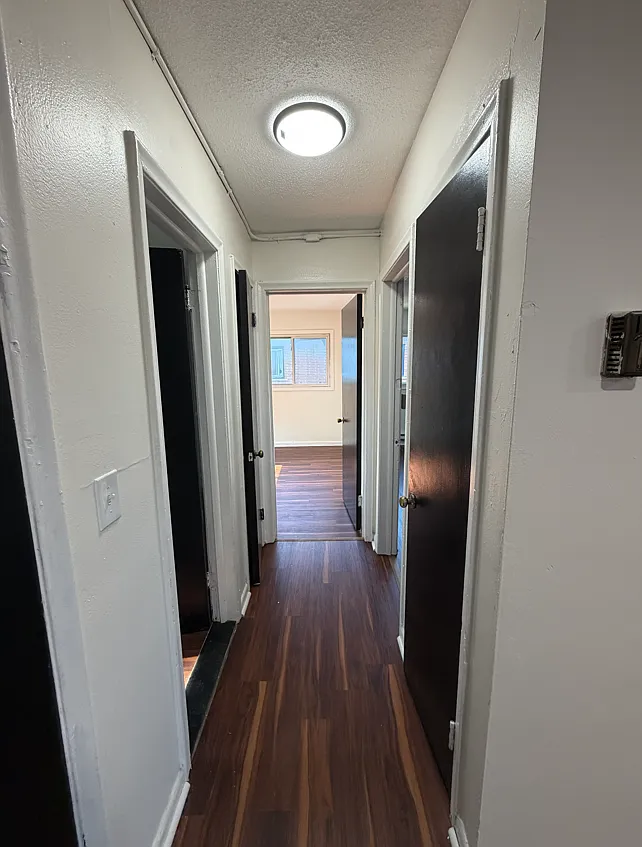 2 bed, 950 sqft, $1,150 — Photo 4