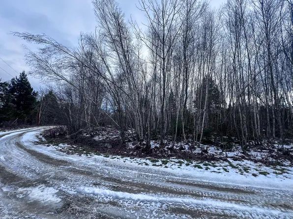 Lot 10 Woodland Ridge Road, Danforth, ME 04424