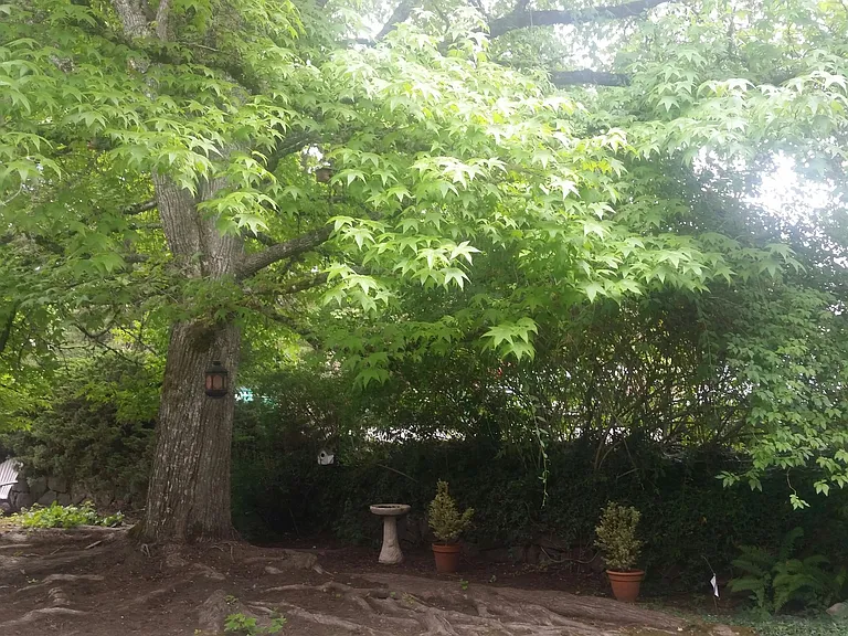 Broadmoor Manor — Photo 118