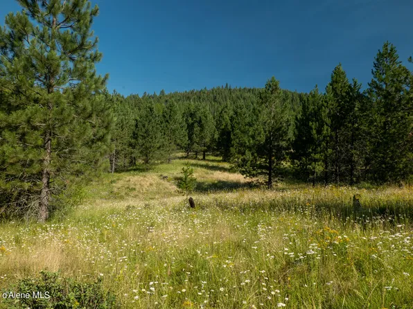 PARCEL 14 Sunflower Dr, Saint Maries, ID 83861