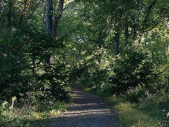 Community Trail