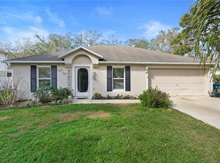 113 Rosedale Ave, Spring Hill, FL 34606