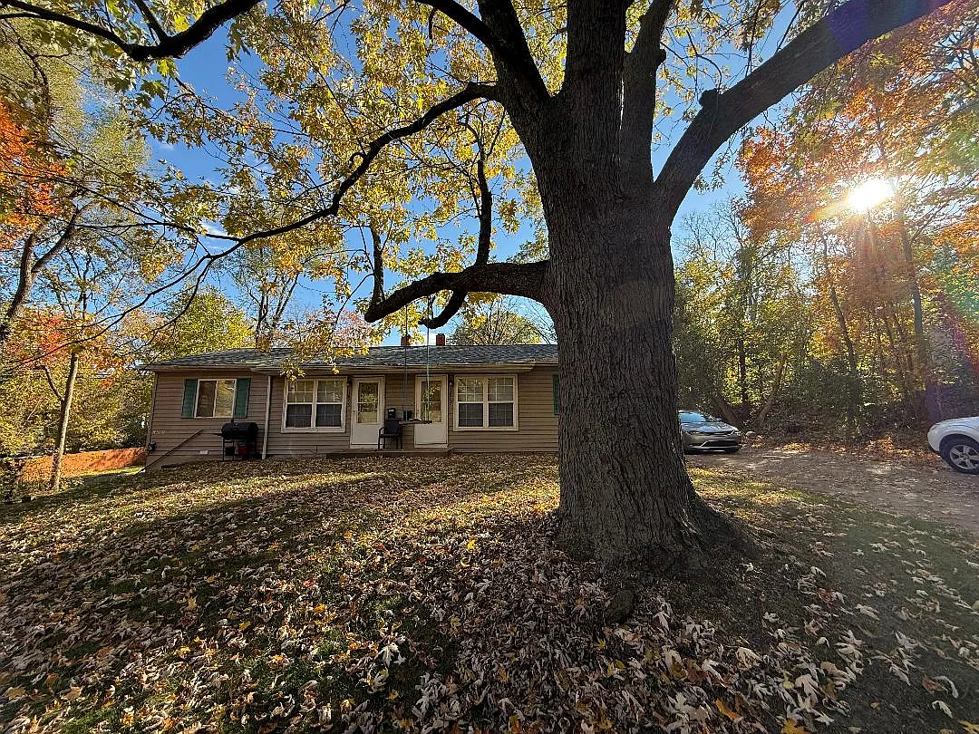 2 bed, $825 — Photo 1