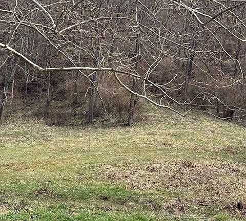 4th image of 16714 Mush Run Rd