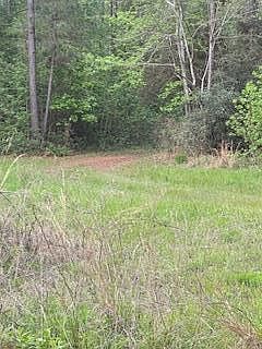 4th image of 1119 County Road 969