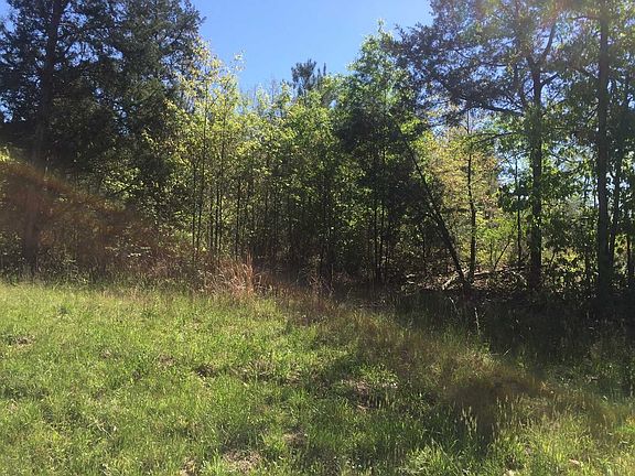 2nd image of 113 Trotter Industrial Ln